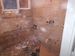 IMG-20170809-WA0006.jpg